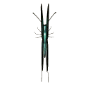 tximeleta animatutako-irudiak-gif